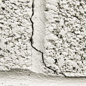 Crack in the concrete
